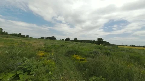 Drone Flying Low Along a Windy Grass Trail in Summer Field Stock Footage 341825234
