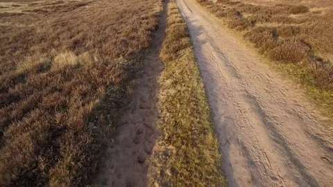Drone flying low and fast over heath path/ bird view Video stock 75351957