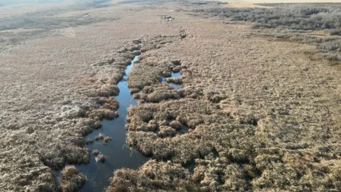 Drone flying low and moving forward over a brown colored swampy marsh  Stock Footage 263583191