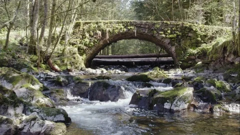 Drone flying low and slow over flowing river with stone bridge in vosges forest Stock Footage 306806532