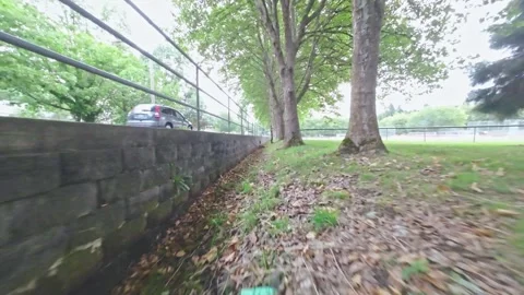 Drone Flying Low in a Ditch Between Street and Park Trees (Color Graded) Stock Footage 252221632