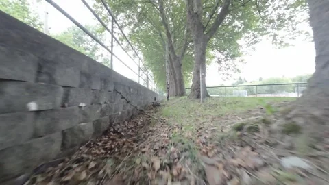 Drone Flying Low in a Ditch Between Street and Park Trees (Desaturated) Stock Footage 252223006