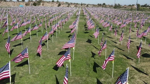 DRONE FLYING LOW DOWN FLAG ROWS Video stock 164416867
