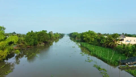 Drone flying low over an alluvial river in Vietnam Vídeos de archivo 335984520