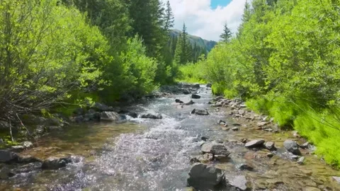 Drone Flying Low Over Clear Mountain Creek in Lush Forest Видео 333705875
