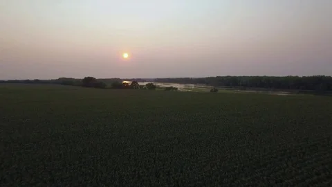 Drone Flying Low Over Cornfield Then Ascends To River Stock Footage 78883494