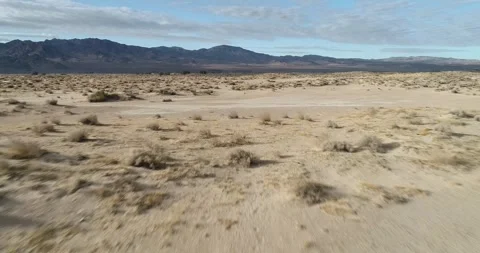 Drone flying low over desert scrub . Video stock 286280288