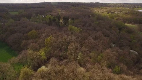 Drone flying low over forest with heath Stock Footage 75348956