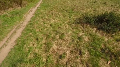 Drone flying low over grass field with road in background Stock Footage 75348815