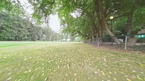 Drone Flying Low Over Grass in City Park (Color Graded) Stock Footage 252221716