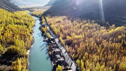 Drone flying low over Kargil’s vibrant autumn canopy. Stock Footage 310782008