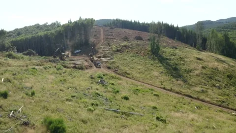 Drone flying low over logging operation clearcutting forest Stock Footage 220019230