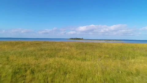 Drone flying low over meadow towards the sea 4K Stock Footage 236723369