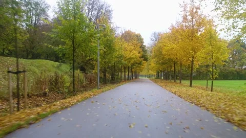 Drone flying low over park path in the autumn Stock Footage 287915077