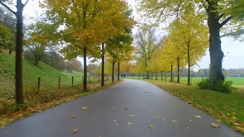 Drone flying low over park path in the fall Stock Footage 287915220