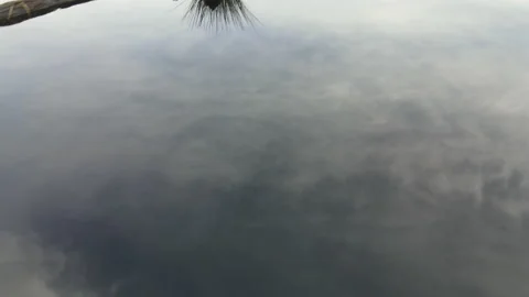 Drone Flying Low Over Peat Bog 2, 4K 動画素材 219099709