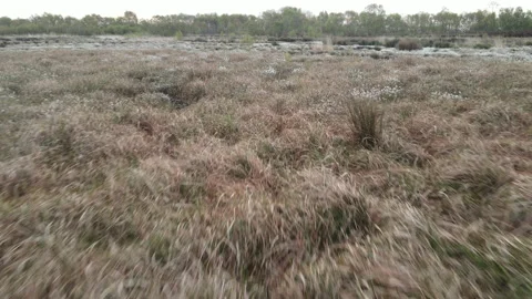Drone Flying Low Over Peat Bog, 4K 動画素材 219119935