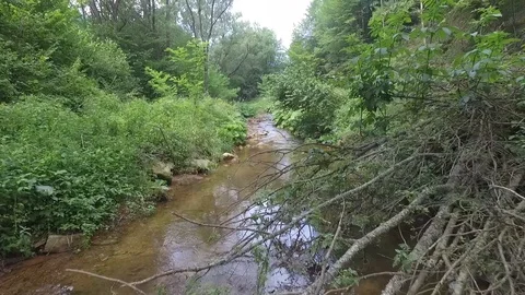 Drone Flying Low Over A Small River Forest Stock Footage 98210364