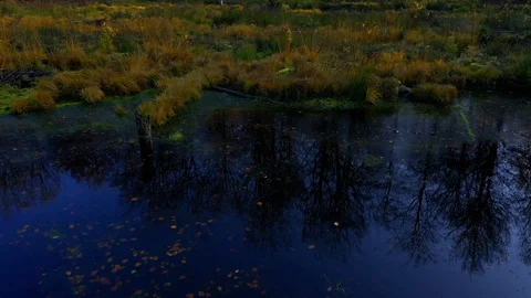 Drone flying low over small forest lake, drone stock footage by DroneRune Stock Footage 128284912