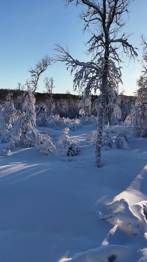 Drone flying low over snowy winter landscape in lapland, Norway 스톡 동영상 345669335
