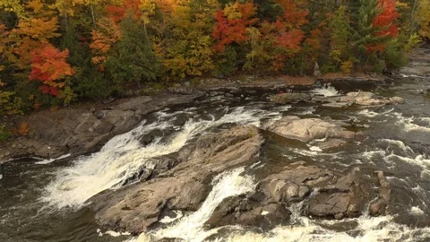 Drone flying at low speed towards river edge in fall with beautiful trees Stock Footage 119188560
