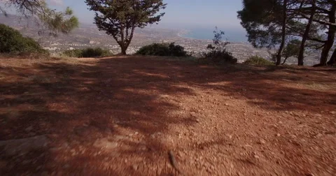 Drone flying low in the trees and out to wide shot Stock Footage 65211765