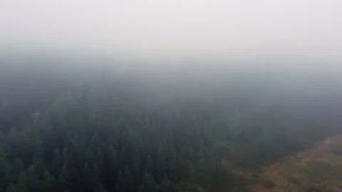 Drone flying into mist over forest Video stock 157725402