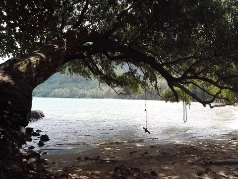 Drone flying out Kahana Stock Footage 80974318
