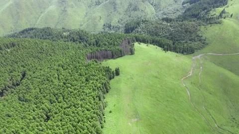 Drone Flying Over Alpine Meadow and Forest Hills Wugong Mountain China Stock Footage 330286332