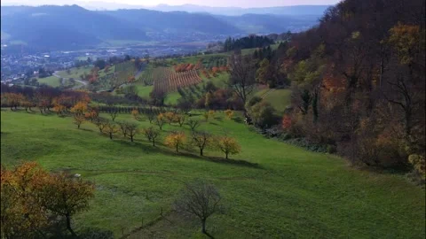 Drone Flying over area Bischofstein Castle in Switzerland. Video stock 149073472
