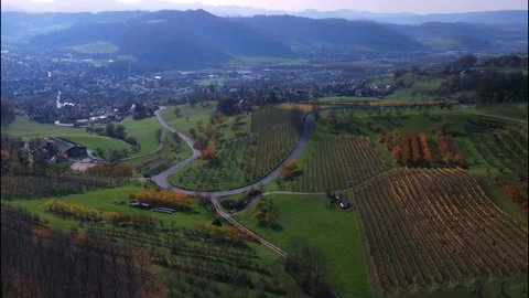 Drone Flying over area Bischofstein Castle in Switzerland. Video stock 149073536