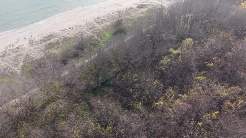 Drone flying over autumn forest and coastline near sandy beach Stock Footage 321047152