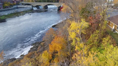 Drone Flying Over Autumn Tree Revealing River, Small Dams, Rapids, And Bridge Stock Footage 229157953