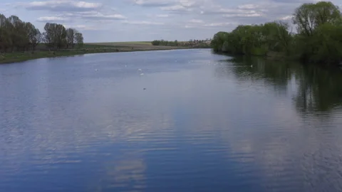 Drone flying over a beautiful calm lake with a flock of swans swimming in it Stock Footage 274037751
