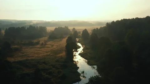 Drone flying over beautiful forest valley covered with golden sunrise mist Stock Footage 153664823