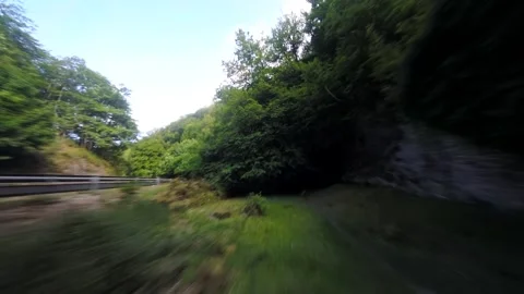 Drone flying over the beautiful forest area of northern Spain Video stock 159973894