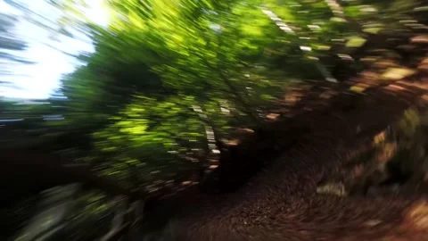 Drone flying over the beautiful forest area of northern Spain Video stock 159973979