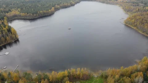 Drone flying over a beautiful lake surrounded by forest in autumn Video stock 278156504