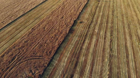 Drone flying over a beautiful wheat field. Electric supports in the wheat field Stockbeeldmateriaal 144888112