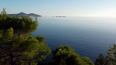 Drone Flying Over a Bench in Pine Forest Overlooking the Croatian Sea Stock Footage 283371313