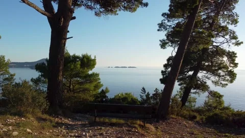 Drone Flying Over a Bench in Pine Forest Overlooking the Croatian Sea Stock Footage 283371315