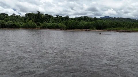 Drone flying over Beni river in National Park Madidi, Bolivia Video stock 311108245