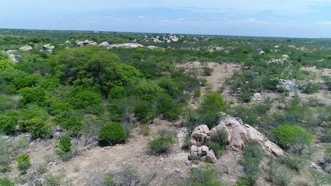DRONE FLYING OVER CAATINGA IN BRAZIL DESERT Stock Footage 101474130