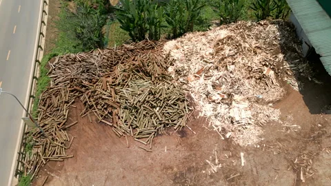 Drone flying over carpentry and tree trunks cut and stacked by the roadside in Stock Footage 303843514