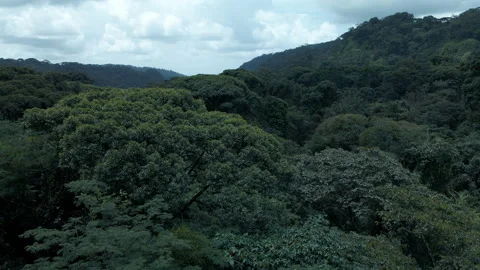 Drone Flying Over Central Valley Rainforest and Jungles of Costa Rica Video stock 165900210