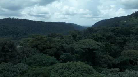 Drone Flying Over Central Valley Rainforest and Jungles of Costa Rica Video stock 165900716
