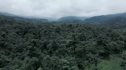 Drone Flying Over Central Valley Rainforest and Jungles of Costa Rica 스톡 동영상 165901628