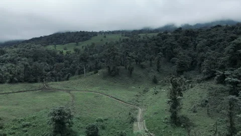 Drone Flying Over Central Valley Rainforest and Jungles of Costa Rica Stock-Footage 165902146
