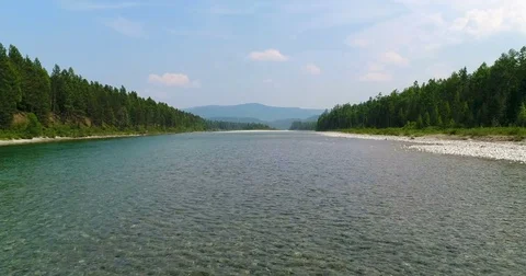 Drone Flying over clean transparent fresh water of siberian river Kitoy. Taiga Stock-Footage 77353869