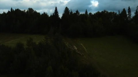Drone flying over a clearing in the middle of a forest in the mountains 4k HDR H Stock Footage 88319858